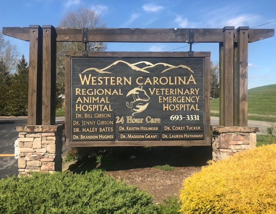 Western Carolina Regional Animal Hospital, Flat Rock vet