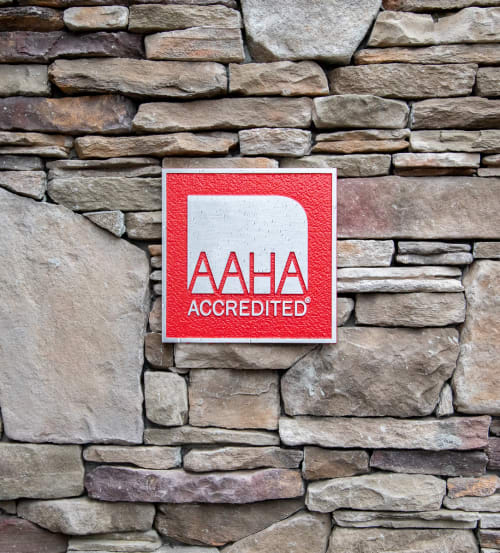AAHA Accredited & Cat-Friendly Practice Certified, Flat Rock vet