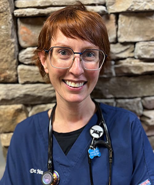 Dr. Kelsey Nott, Flat Rock Veterinarian