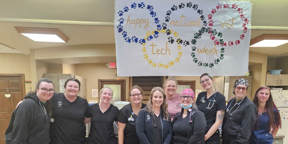 Meet Our Team, Flat Rock Vet