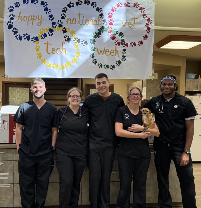 Meet Our Team, Flat Rock Vet