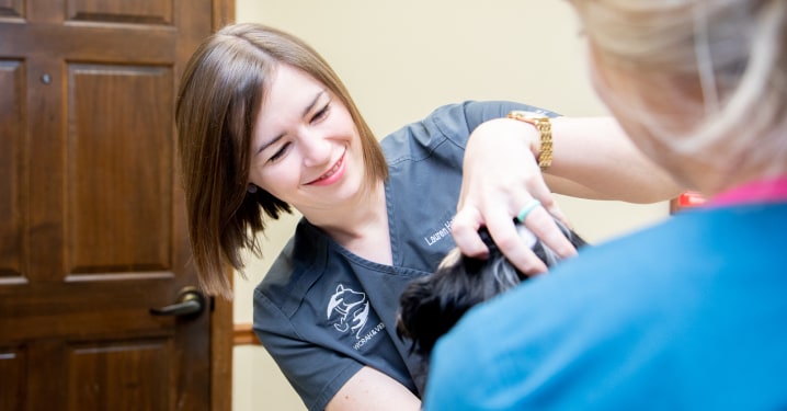 Veterinary Positions At Our Hospital, Flat Rock vet